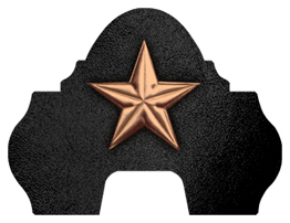 DARAY-L-430-BZ-BK Star Bronze-Black